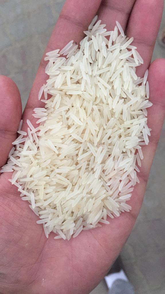 1121 Sella Basmati Rice and Sugandha Rice