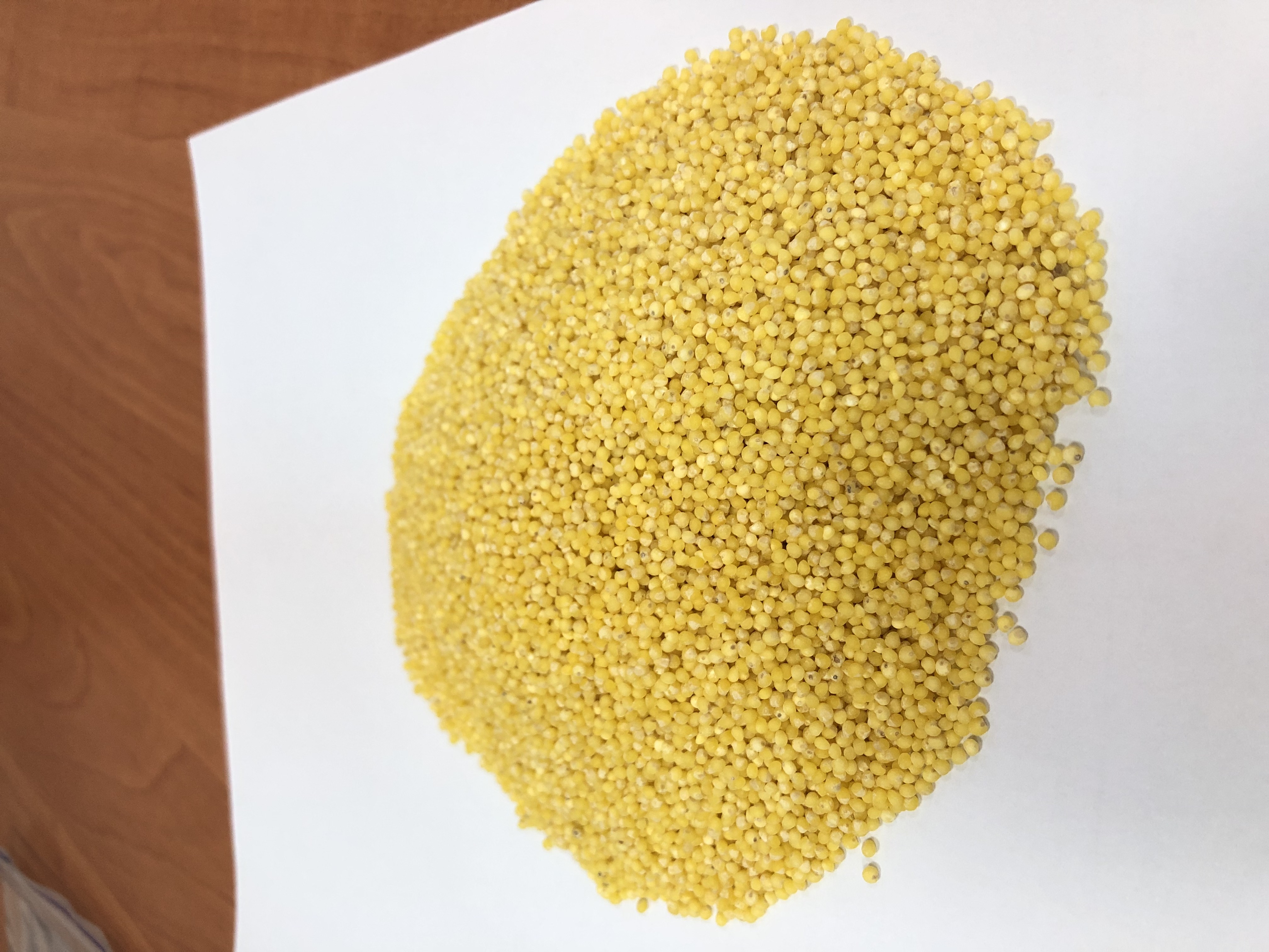 Sourcing Proso Yellow Millet